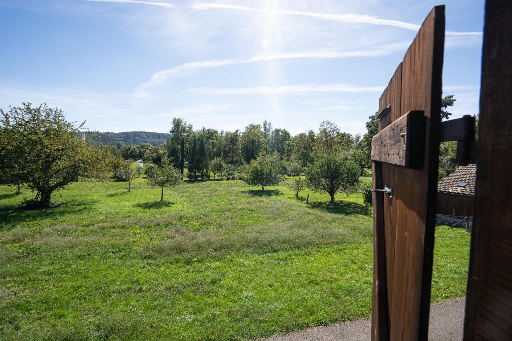 Tiny House Chez Claudine - Relaxen, Workspace, Naehe Thermen, Netflix, Free Parking & Wifi Brugg  Bagian luar foto